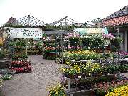 Elisabeth Beyer Gärtnerei - GALLERY