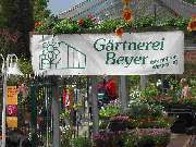 Elisabeth Beyer Gärtnerei - GALLERY