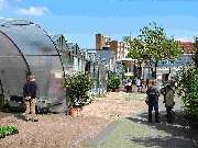 Elisabeth Beyer Gärtnerei - GALLERY