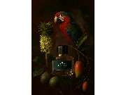 Elle Düfte & Mehr - GALLERY