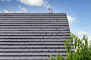 Elmar Thiele GmbH Dachdeckerfachbetrieb - GALLERY