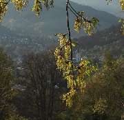 EluLina - Die kreative Nähstube im Schwarzwald - 5