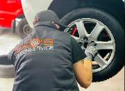 Elvis Brzac - GALLERY