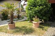 Elztal Gartenbau - 16