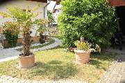Elztal Gartenbau - 17