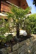 Elztal Gartenbau - 30