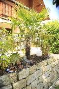 Elztal Gartenbau - 31