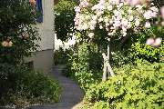 Elztal Gartenbau - 34