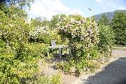 Elztal Gartenbau - 35