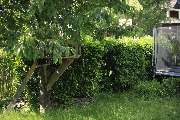 Elztal Gartenbau - 44