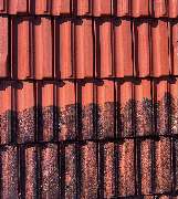 Emco - Florin Coman - GALLERY