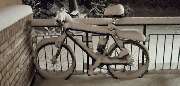Emil Löwe e.K. Fahrrad Löwe - GALLERY