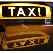 Emine Yildiz Stern Taxi - LOGO