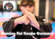 empty hands e.V. Kenpo - GALLERY