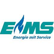 Energie Mittelsachsen GmbH - LOGO