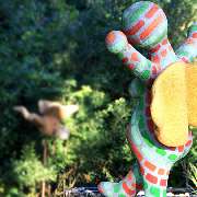 Engel am Deich - GALLERY