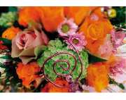 Engelsblüte Schondra - GALLERY