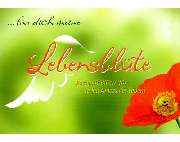 Engelsblüte Schondra - GALLERY