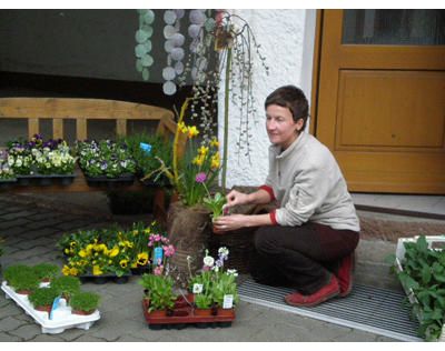 Engelsblüte Schondra - GALLERY