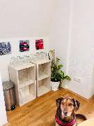 EnglischAlternativ GbR - GALLERY