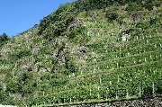 Enoteca Italiana - GALLERY