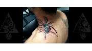 Enso Tattoo - GALLERY