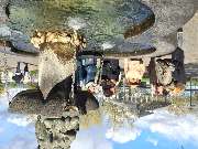 entdecke-deine-stadt.de - Stadtführungen durch Köln - Frauenführung-Fischmarkt