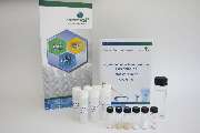 Enzymicals AG - 3