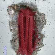 EPO CONCEPT GmbH - GALLERY