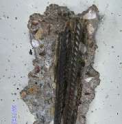 EPO CONCEPT GmbH - GALLERY