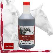 Equi-Fortis - GALLERY