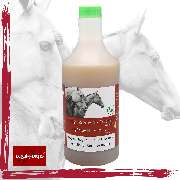 Equi-Fortis - GALLERY