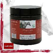 Equi-Fortis - GALLERY