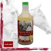 Equi-Fortis - GALLERY