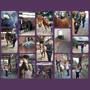 Impressionen