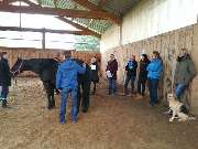 Equinus Sanitas - 15