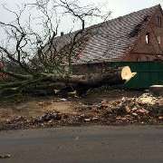 Erd Und Landschaftsbau Obermeier - 6