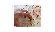 Ergo -Therapie Schiller Gerlinde - GALLERY
