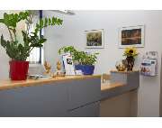 Ergo- u. Handtherapie Fuchs - GALLERY