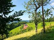 Erholungsblick - GALLERY