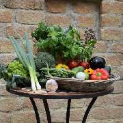 Ernährungspsychologie Judith Heckmaier - Ernährungspsychologie Heckmaier