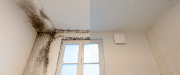 ERSTex GmbH - Sanierung mit erstoplast