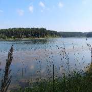 Erzgebirgs-Fisch GbR - GALLERY