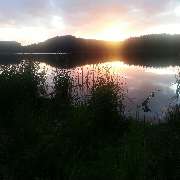 Erzgebirgs-Fisch GbR - GALLERY