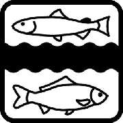 Erzgebirgs-Fisch GbR - LOGO