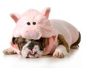 essthetik - Peggy Dathe - GALLERY