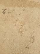 EST Untergrundvorbereitung - 67