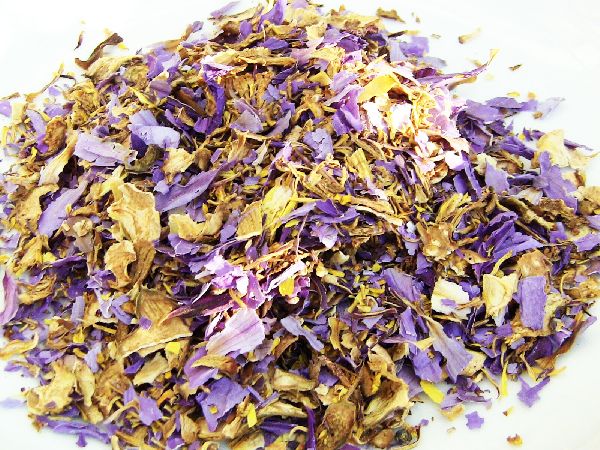 Ethnoherbarius - GALLERY