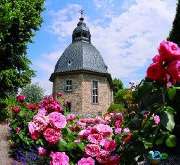 Evangelische Kirche Gau-Algesheim - Evangelische Kirchengemeinde Gau-Algesheim - Ockenheim - Kirche im Jugendstil.