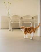 Ewig Bau GmbH - GALLERY